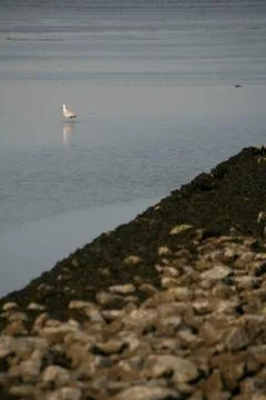 Vor der Küste Stock Photos
