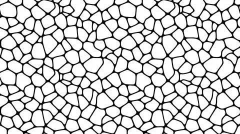 Voronoi pattern with black lines and white cells for seamless background wa.. Stock Illustration