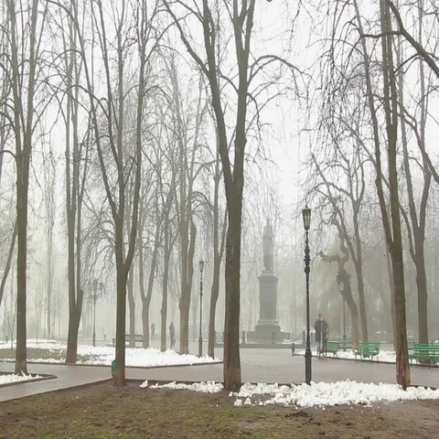 Vorontsov monument at snowy town square on foggy winter day in Odessa, Ukraine Stock Footage 69484410