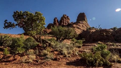 Vortex: Bell Rock during the Day with Tree and Cactus Stock Footage 71229670