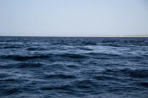 A vortex caused by a school of  Mobula Rays smoothing the water surface Photos