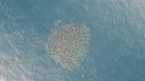 Vortex Rays from High to Low Flyers Stock Footage 169768414