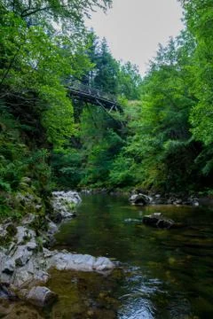 Vosges Foto stock