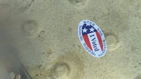 VOTE IN 2020 U.S. ELECTION: VOTING AND VOTERS Stock-Footage 141551414