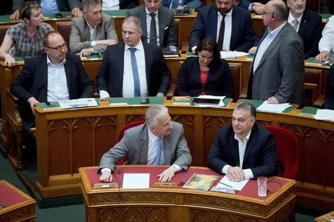 Vote on the amendment of the basic law or constitution concerning migration, Bud Foto stock