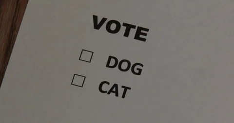 Vote - Checkbox - Dog Vs Cat Stock Footage 89111598