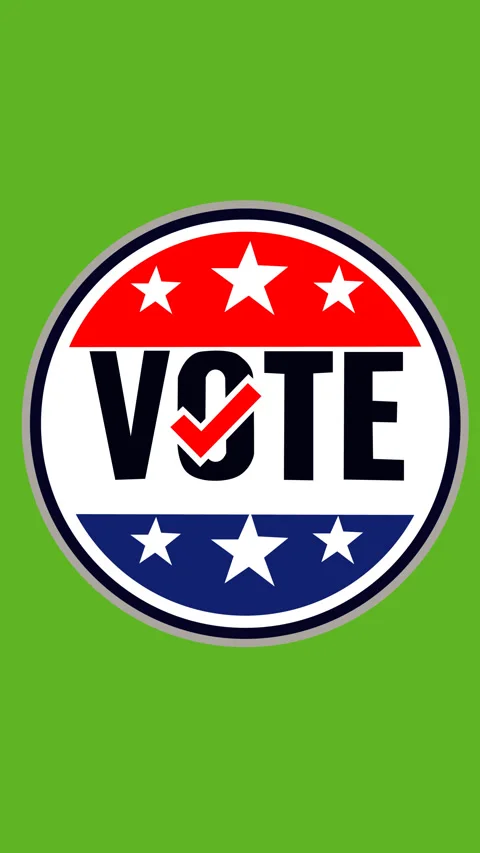 Vote Election Badge with Checkmark and Stars Animated Voting Awareness Foota Stock-Footage 341933465