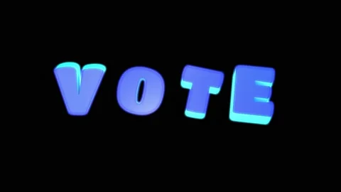 VOTE Stock Footage 235195986