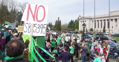 Voting and protesting Stock Footage 106170981