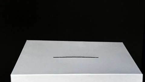 Voting Stock Footage 280507945