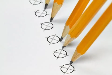 Voting Stock Photos