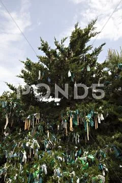 Votive tree Stock Photos