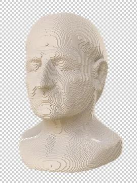 Voxel head on a transparent background. Ancient Greek statue of Aristotle. Stock Illustration
