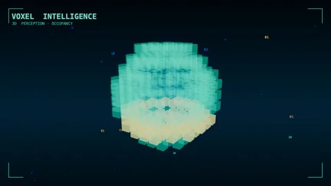Voxel intelligence shell layer scan Stock Footage 339992497