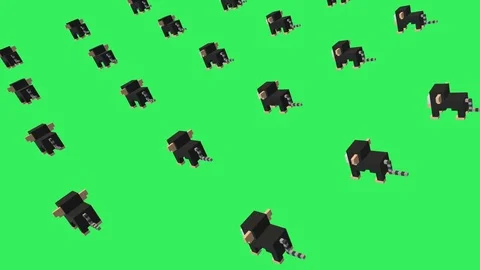 Voxel Marmoset -  ANIMATED BACKGROUND Stock Footage 77571579