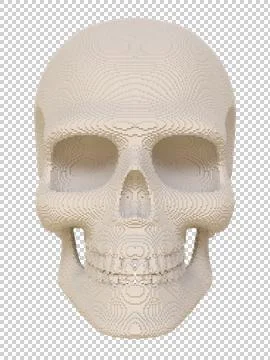 Voxel skull on a transparent background. Stock Illustration