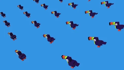 Voxel Toucan -  ANIMATED BACKGROUND Stock Footage 77565784