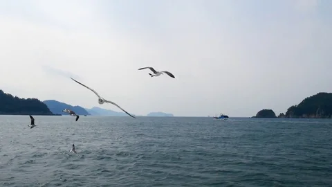 Voyage: 스톡 동영상 80149798