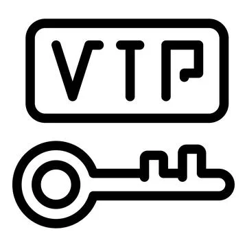 Vpn private network key accessing secured server Illustrazione stock