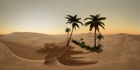 Vr 360 camera moving above desert Vidéo 124849354