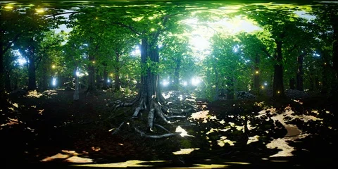 VR 360 Firefly Flying in the Forest Stock Footage 124849294