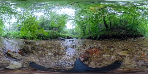 VR 360 Spherical video of a mountain river surrounded by green forest Vidéo 94171256