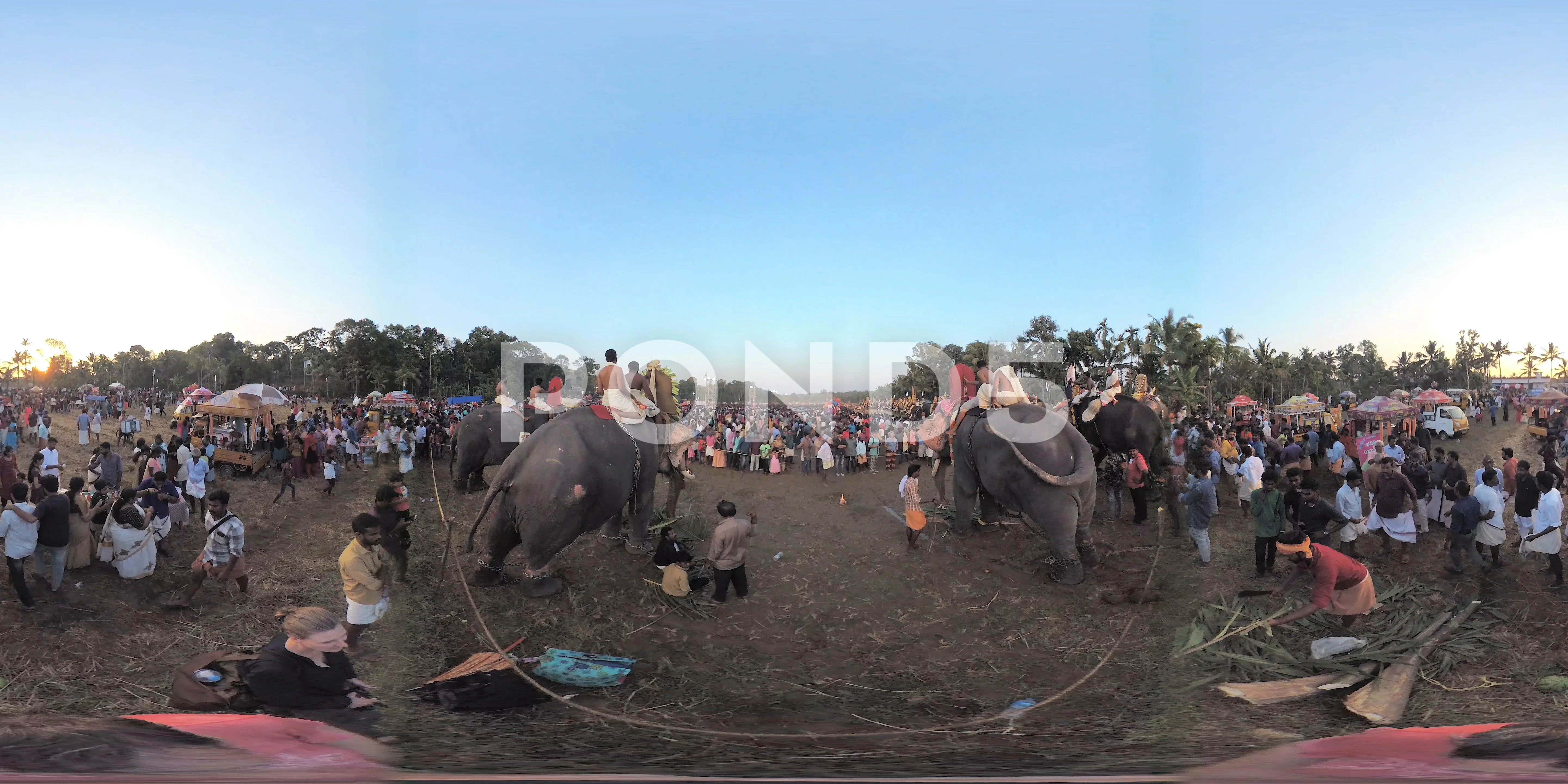 VR 360 Video Kerala / India, Anayadi elephant festival at sunset