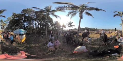 VR 360 Video Kerala / India, walk over Anayadi elephant festival Stock Footage