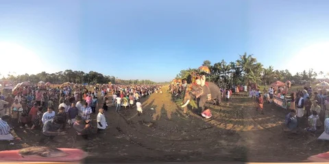 VR 360 Video Kerala / India, Anayadi elephant festival side shot Stock Footage