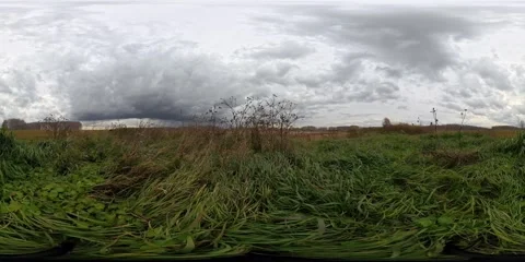 VR 360 View Of Overgrown Field In Cloudy Day In Autumn Season Stock Footage 304967731