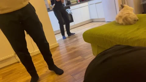 VR Boxer Accidentally Punches Wall, London, England, UK - 07 Feb 2025 Stock Footage 302294705
