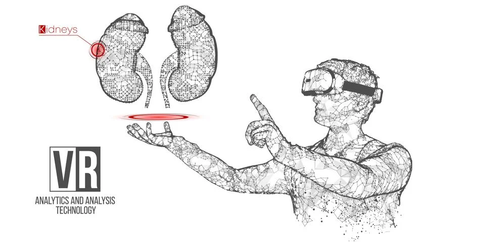 VR wireframe headset vector man with kidney banner Stock Illustration