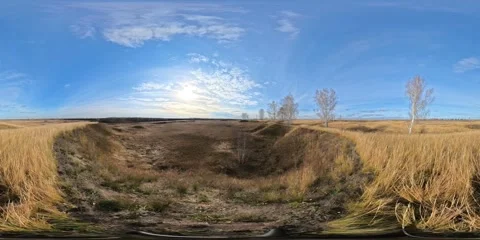 VR360 Autumn field and trees in windy day in autumn season Stock Footage 304803872