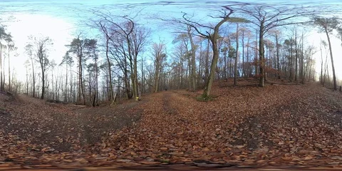 VR360, Couple hikes through the forest in autumn Stock Footage 120836671