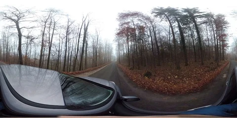 VR360, Drive through the misty autumn forest Stock Footage 120678577