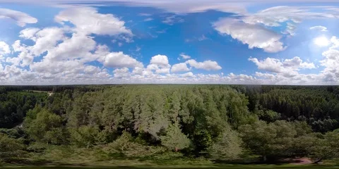 VR360 Flight over the green forest. Stock Footage 93637934