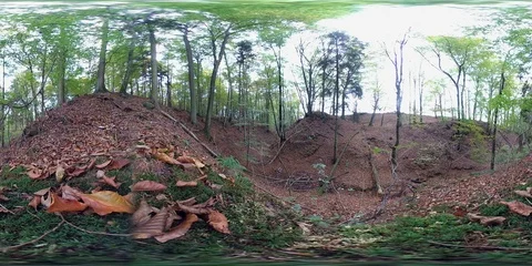 VR360, Gorge in the forest, 360VR, VR Stock Footage 118910658
