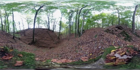 VR360, Gorge in the forest, 360VR, VR Stock Footage 118910715