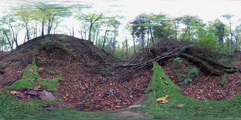 VR360, Gorge in the forest, 360VR, VR Stock Footage 118910772