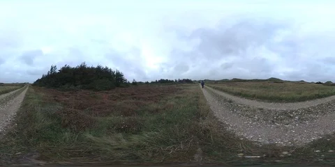 VR360, Hiking trail with dune vegetation on the North Sea coast, Denmark, VR Stock Footage 117536046