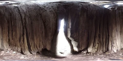 VR360, Hollow old trunk, linden tree Stock Footage 120533397