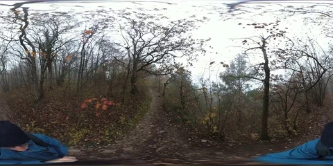 VR360, Man hikes through misty autumn forest Stock Footage 120640496