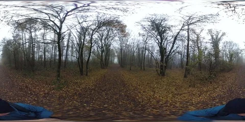 VR360, Man hikes through misty autumn forest Stock Footage 120640625