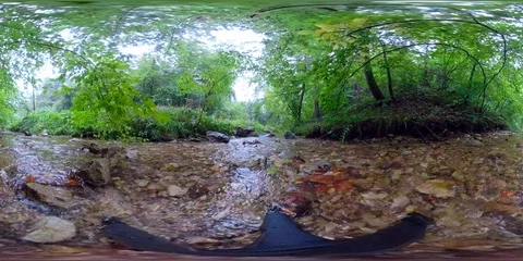 VR360 Raining in forest Stock Footage 94175205