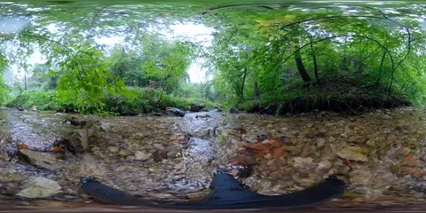 VR360 Rainy forest in rain Vidéo 94175355