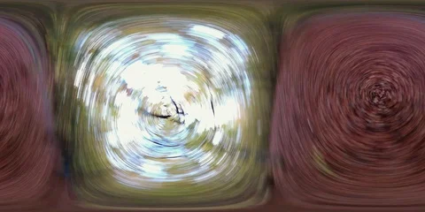 VR360, Rotating beech forest with leaf carpet, 360 VR, VR Video stock 119164082