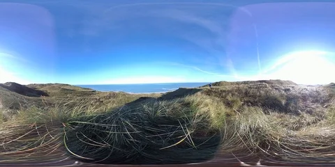 VR360, Sand dune with dune grass on the North Sea coast, Denmark, VR Stock Footage 117534499