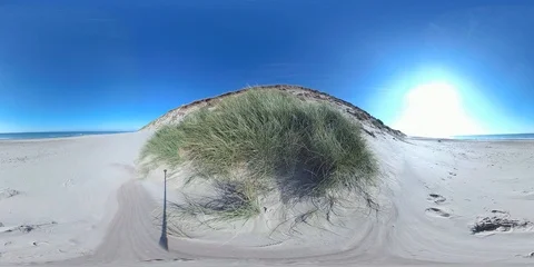 VR360, Sand dune with dune grass on the North Sea coast, Denmark, VR Stock Footage 117534622