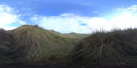 VR360, Sand dune with dune grass on the North Sea coast, Denmark, VR Stock Footage 117534735