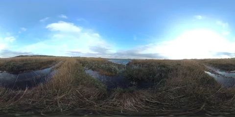 VR360, Sand dune with dune grass on the North Sea coast, Denmark, VR Stock Footage 117534952
